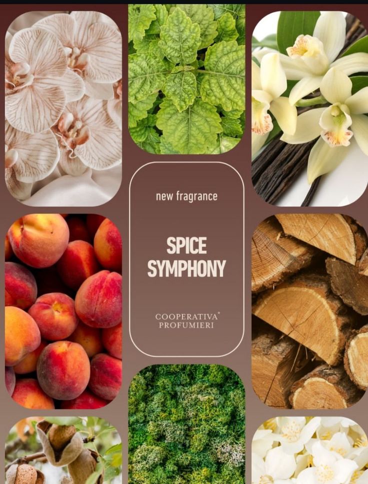 Raumduft-Diffuser Spice Symphonie