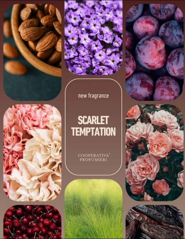 Raumduft-Diffuser Scarlet Temptation