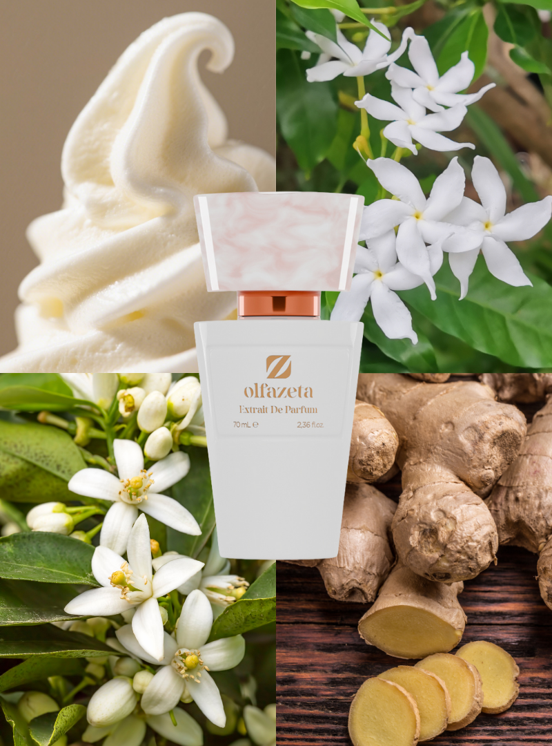 81 - Allure Éternelle