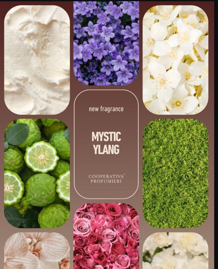 Raumduft-Diffuser Mystic Ylang